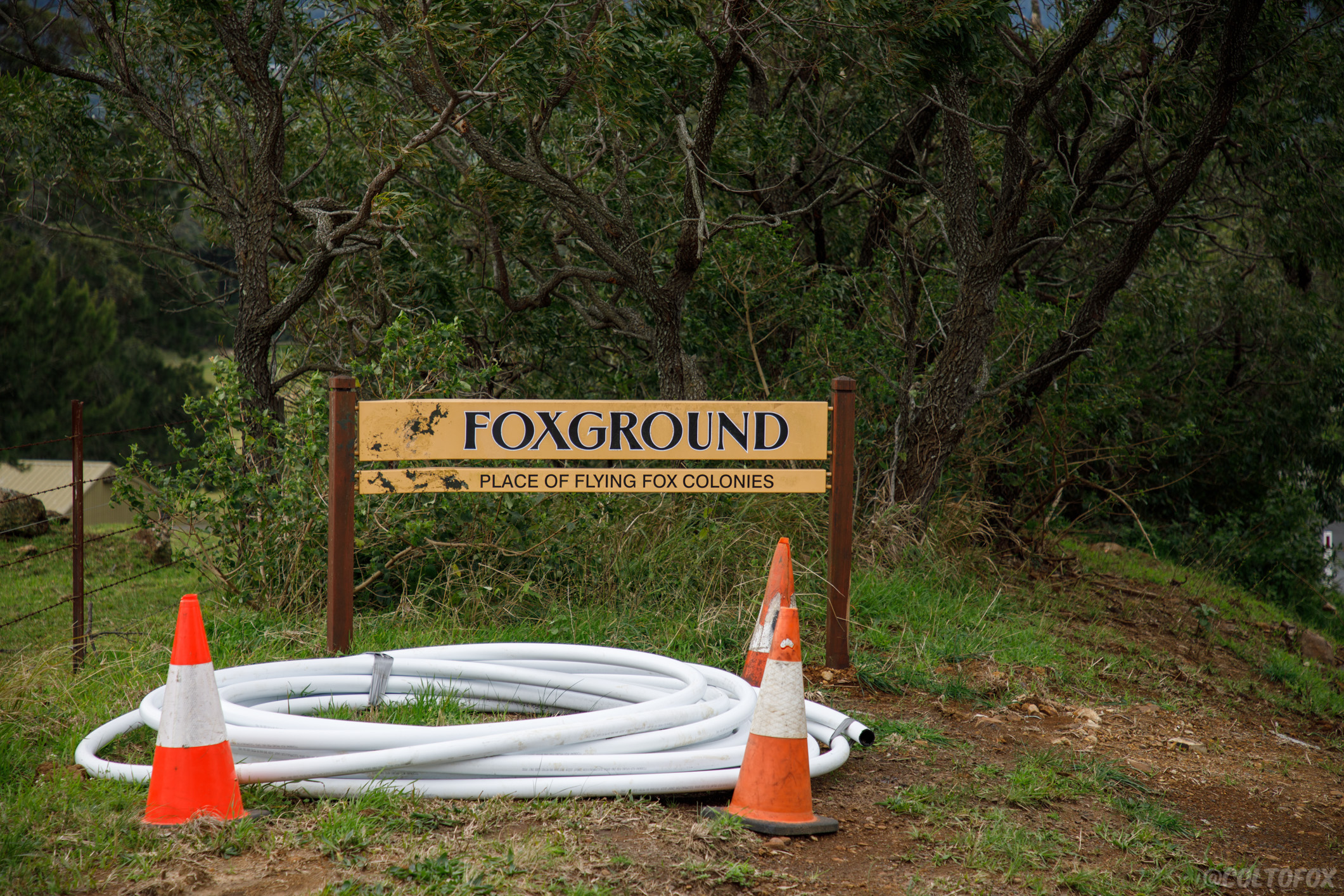 Foxground sign