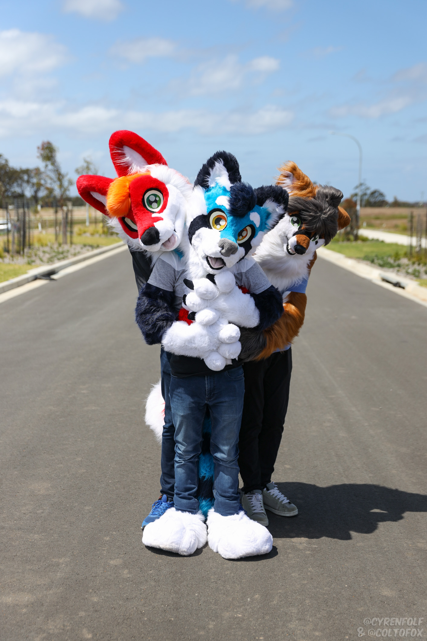 Molto, Flippsy and Twig standing in the middle of the road