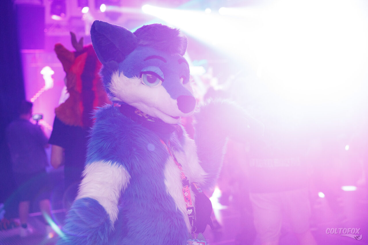 Whistler (blue fox fursuiter) standing in front of bright stage lights with a purple glow.
